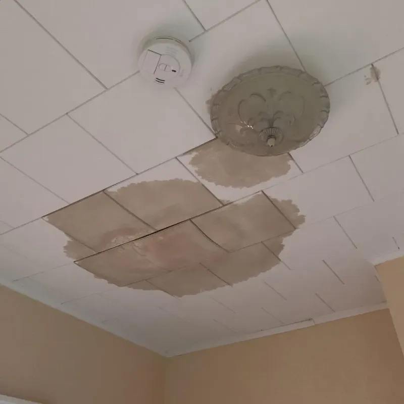 Ceiling Water Damage Repair in Trumbull County, OH