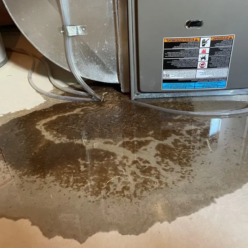 Pipe Burst and Leak Restoration in Trumbull County, OH