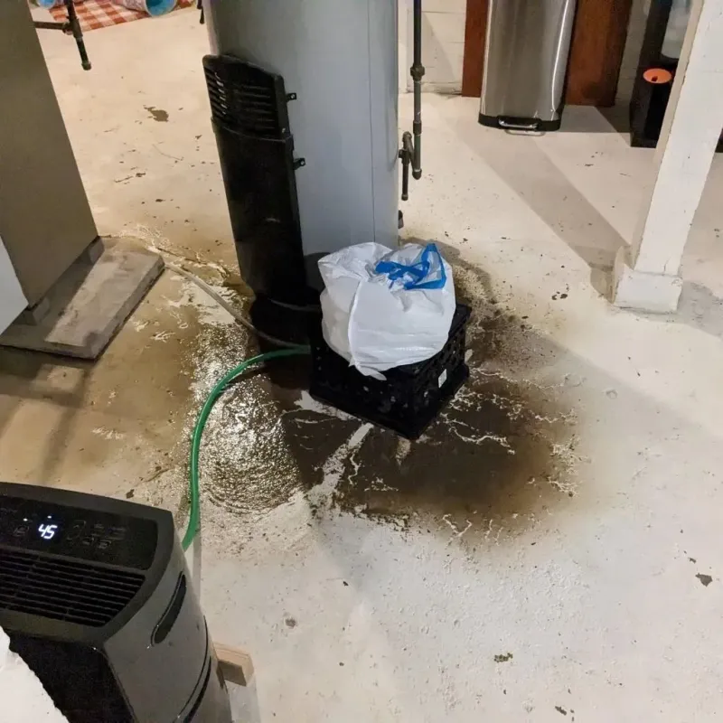 Sewage Backup Cleanup Service in Trumbull County, OH